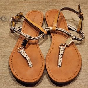 Coach size 7B Summer Sandals 👡. Comes with a certificate of Authenticity.